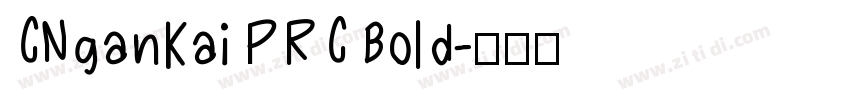 CNganKai PRC Bold字体转换